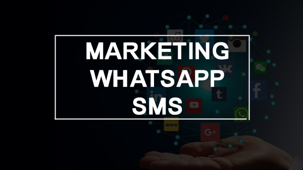 Whatsapp / SMS